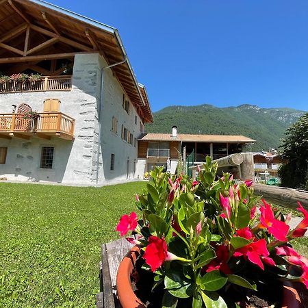 La Lesivera Bed And Breakfast Tione di Trento Bagian luar foto